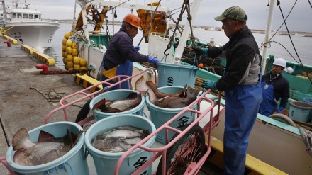 鈴木貴子議員、「北方領土での漁業は日本の漁業者にとって死活問題」