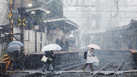 日本列島に最強寒波襲来、全国でトラブル続出