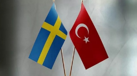 土耳其执政党：与瑞典就“入约”无话可谈