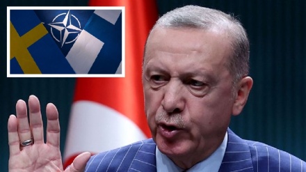 Svezia-Finlandia, Erdogan ancora ago della bilancia per loro adesione alla Nato