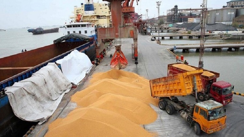 اوکراین سه کشتی گندم به افغانستان فرستاد