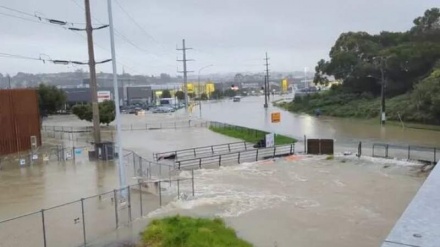 暴雨引发洪灾 新西兰奥克兰进入紧急状态