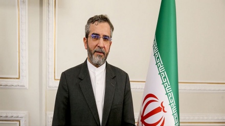 باقری کنی : ایران در معادله برجام طرف مدعی است و طرف‌های غربی بدهکارند