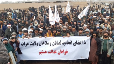 اعتصاب قصابان در هرات به چهارمین روز رسید
