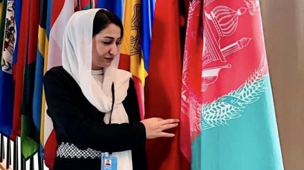 Gunmen kill female ex-lawmaker in Afghan capital