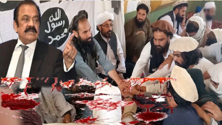 د ترهه ګرۍ په باب دطالبانو په ضددتورونو دوام