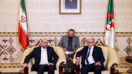 Спикер парламента Алжира: Мы хотим укрепить отношения с Ираном