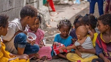 170 organizata të të drejtave të njeriut kërkojnë ndaljen e katastrofës humanitare në Jemen
