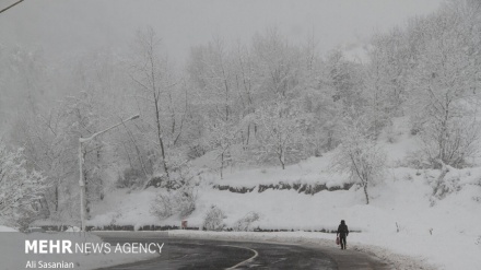 Ostoroədə Heyronə səhnəon