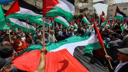 הפחד מדגל פלסטין