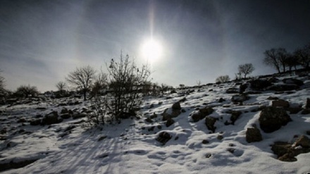 Romeşgan'dan kış manzarası