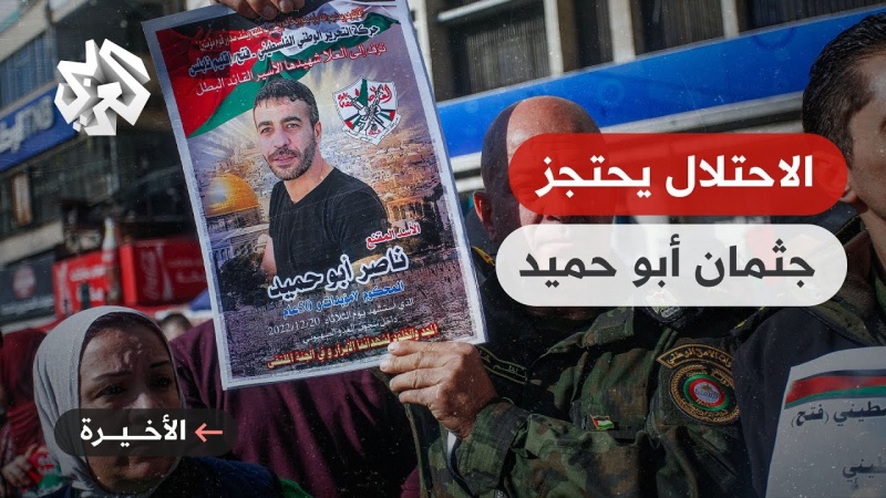 חוקי הג'ונגל