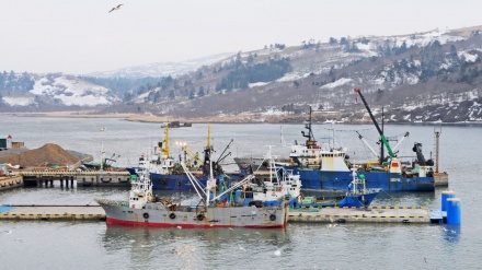 ロシア外務省、「日本と漁業交渉行う予定ない」