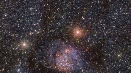 Una culla di miriadi di stelle nascosta nella Via Lattea