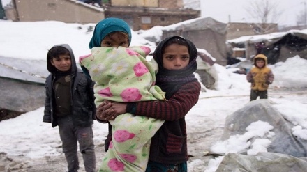 صلیب سرخ هشدار داد: کمبود شدید مواد غذایی در زمستان سخت افغانستان