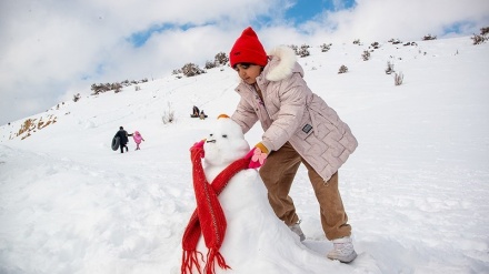 Bermain Salju, Hiburan Warga Iran pada Musim Dingin (2)