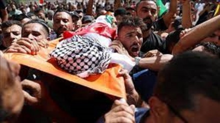  خشم فلسطینیان از جنایت صهیونیست ها