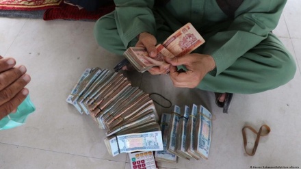 پول های کهنه در بازارهای هرات مشکل آفرین شده است