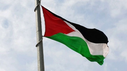 Urgensi Ratifikasi Nama Palestina Secara Resmi di IAEA
