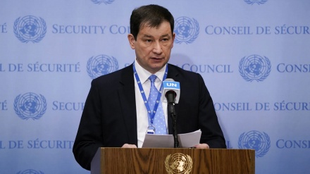 Ukraina qëndron në këmbë me armët perëndimore