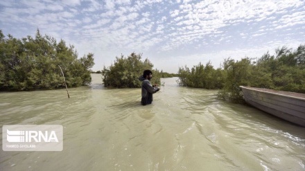 Iran’s province to expel refugees if Taliban fails to supply water: MP 