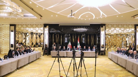 Амир-Абдуллахиан: Притеснение женщин в Афганистане противоречит принципам ислама