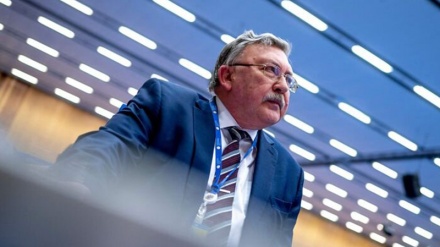 Ulianov thekson domosdoshmërinë e finalizimit të bisedimeve të Vjenës