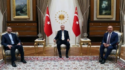 Erdogan: Marrëdhëniet mes Teheranit dhe Ankarasë janë të rëndësishme dhe të privilegjuara