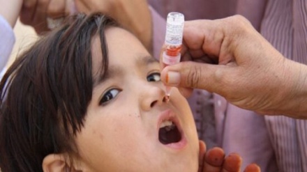 نگرانی‌ها از موانع در مقابل کمپاین واکسین پولیو در هرات
