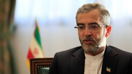 巴盖里：伊朗在解除制裁的谈判过程中坚持强硬立场 