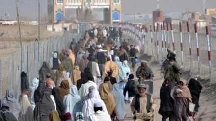 عفو بین الملل:پاکستان از اخراج پناهجویان افغان استفاده سیاسی می‌کند