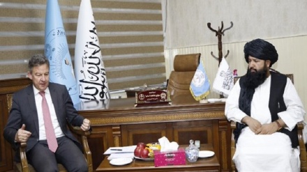 وزیر تحصیلات عالی طالبان: مخالف مطلق آموزش زنان نیستیم