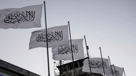 طالبان جنایات صهیونیستها را در اردوگاه جنین محکوم کرد