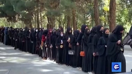 Талибы запретили женщинам учиться в университетах Афганистана