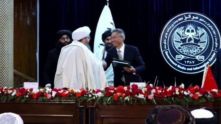 قرارداد طالبان با یک شرکت چینی برای استخراج نفت شمال افغانستان