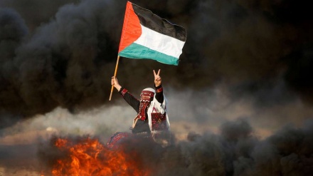 2022年のパレスチナ人犠牲者数は過去１７年で最多