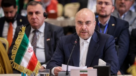 קליבאף באלג'יריה מדגיש סולידריות ופיתוח בר קיימא בעולם האסלאמי