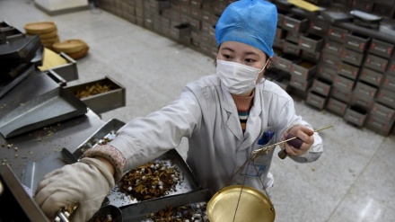 中国で、コロナ治療に伝統医学活用が進む