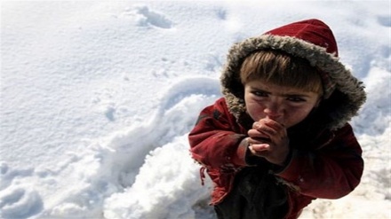 سرما 20 تن را در افغانستان به کام مرگ برد