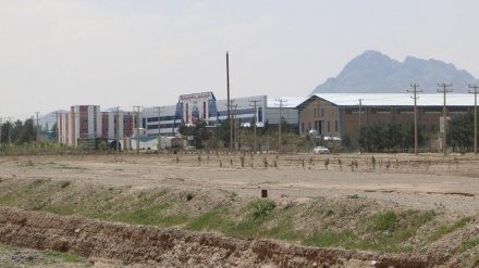 آغاز به کار چندین کارخانه جدید تولیدی در هرات