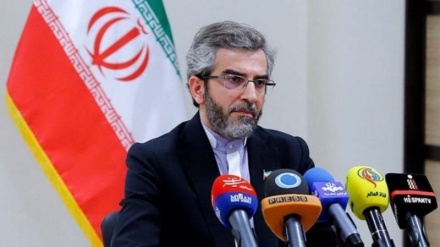 イラン外務次官、「我が国は核協議内で自らの立場を強調」