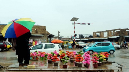 حال و هوای شهر قندهار در یک روز بارانی 