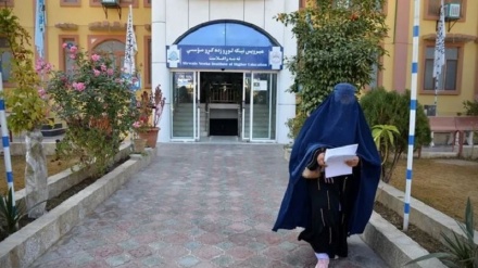 دانشگاه آنلاین زن، برای بانوان افغانستان تاسیس شد