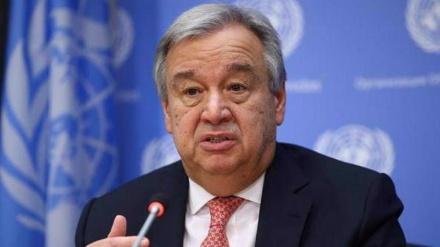 واکنش ها به ممنوعیت کار زنان در دفاتر سازمان ملل در افغانستان