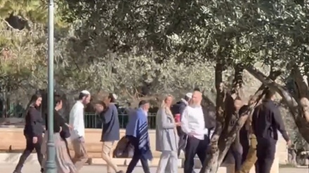 Warga Zionis Masuk ke Kompleks Masjid al-Aqsa