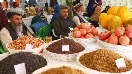 اعلام آمادگی ایران برای خرید تضمینی سالانه پنج میلیون تن محصولات زراعتی افغانستان