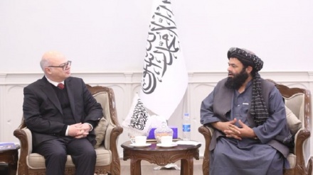  سرپرست وزارت مالیه طالبان با سفیر ترکیه در کابل دیدار کرد