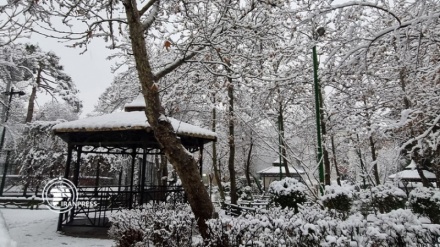 イラン各地で、降雪続く
