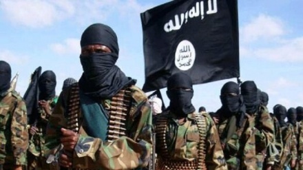 داعش مسوولیت ترور یک فرمانده محلی طالبان را پذیرفت