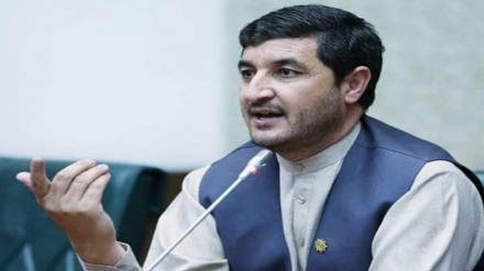 بازداشت عضو سابق مجلس سنا افغانستان به دست طالبان